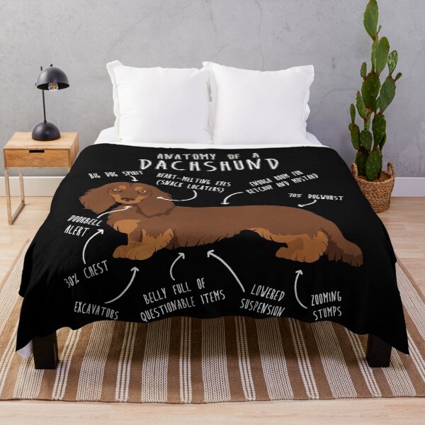 Item preview, Chocolate and Tan Longhaired Dachshund Dog Anatomy designed and sold by Clara Hollins.