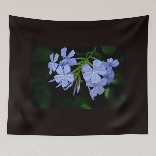 Item preview, Delightful Plumbago designed and sold by Debbie Oppermann.