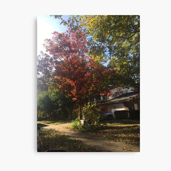 Item preview, Pennsylvania in the Fall designed and sold by capachic06.