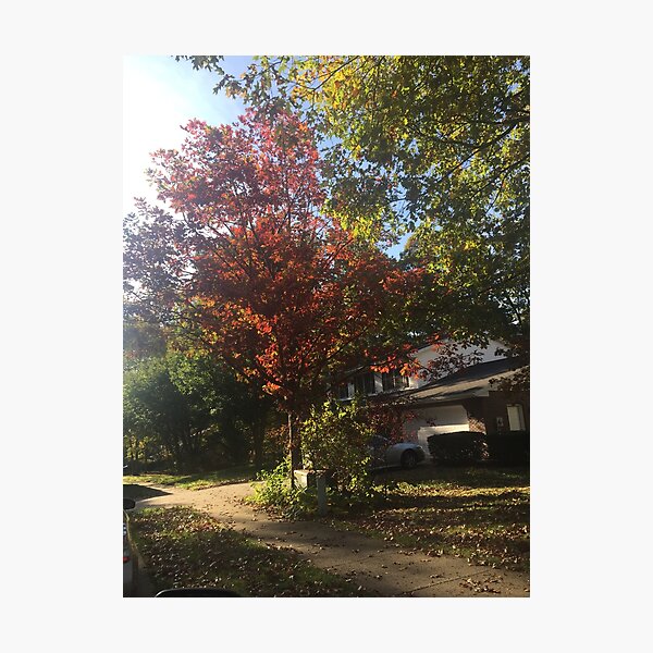 Item preview, Pennsylvania in the Fall designed and sold by capachic06.