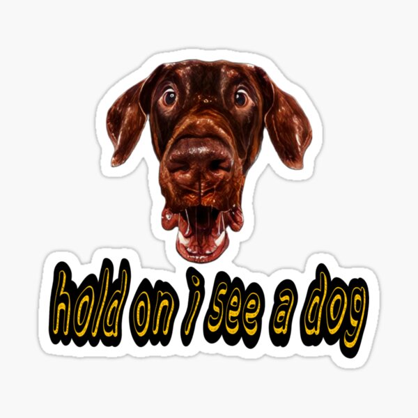 "My dog's face when he's shocked like he's funny" Sticker for Sale by