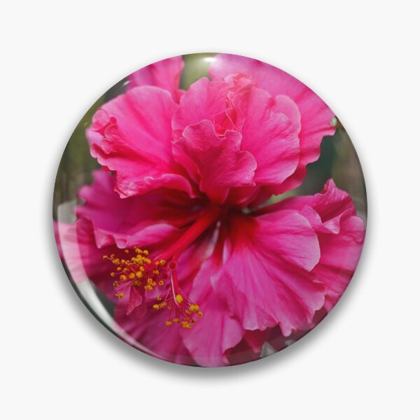 Artikelvorschau, Rosa Hibiskus entworfen und verkauft von Nira Dabush.