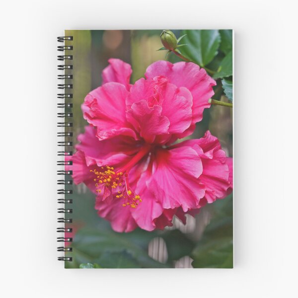 Artikelvorschau, Rosa Hibiskus entworfen und verkauft von Nira Dabush.