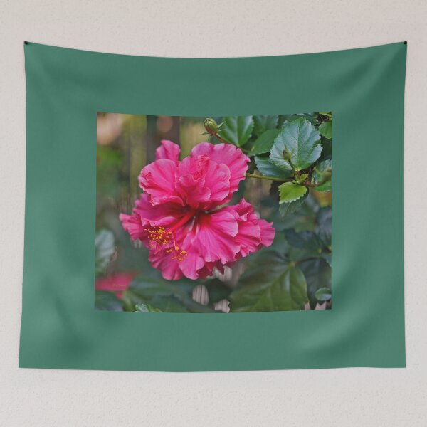 Artikelvorschau, Rosa Hibiskus entworfen und verkauft von Nira Dabush.