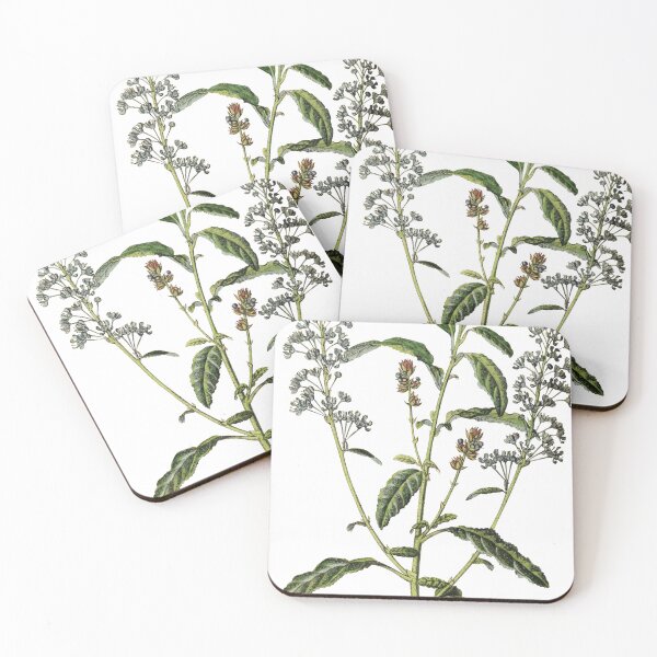 Item preview, Ceanothus Papillosus designed and sold by ptMaker.