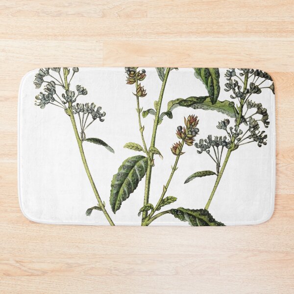 Item preview, Ceanothus Papillosus designed and sold by ptMaker.