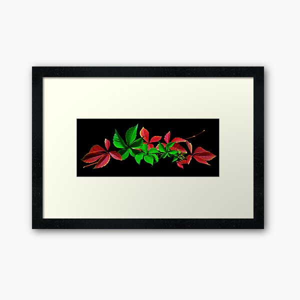 Item preview, Autumn Leaves designed and sold by Jerry Alcantara.