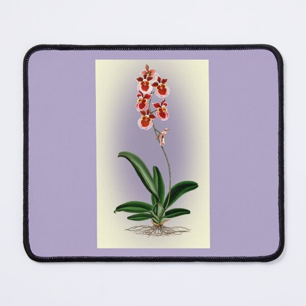 Item preview, Oncidium Orchid designed and sold by Anthony Seeker.