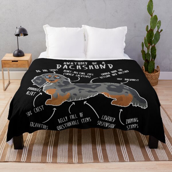 Item preview, Blue Dapple Longhaired Dachshund Dog Anatomy designed and sold by Clara Hollins.