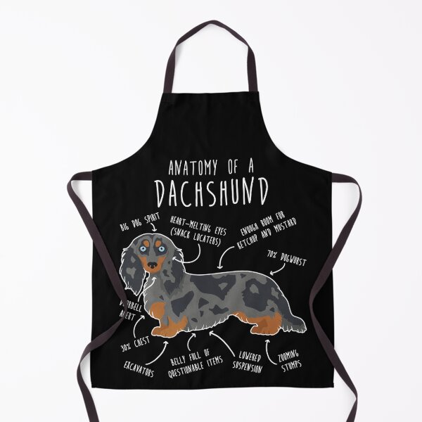Item preview, Blue Dapple Longhaired Dachshund Dog Anatomy designed and sold by Clara Hollins.