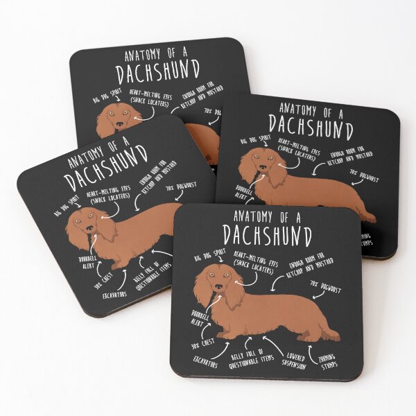 Item preview, Red Longhaired Dachshund Dog Anatomy designed and sold by Clara Hollins.