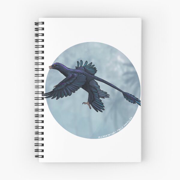 Item preview, Microraptor black designed and sold by Paleo-parallax.