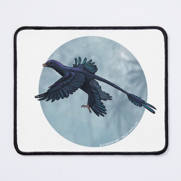Item preview, Microraptor black designed and sold by Paleo-parallax.