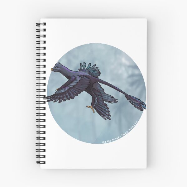Item preview, Microraptor black crested designed and sold by Paleo-parallax.