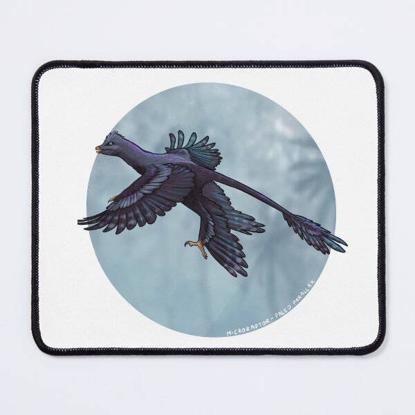 Item preview, Microraptor black crested designed and sold by Paleo-parallax.