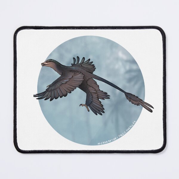 Item preview, Microraptor brown designed and sold by Paleo-parallax.