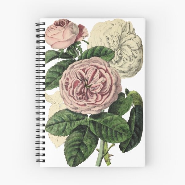 Item preview, rosa w griffith designed and sold by ptMaker.