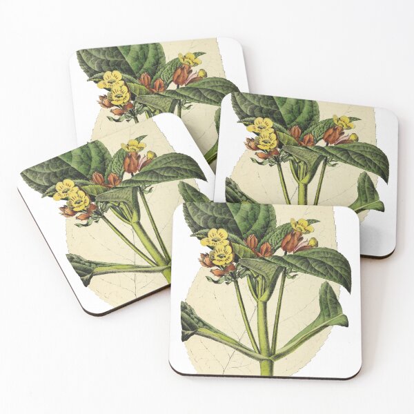 Item preview, Chrysothemis  Aurantiaca designed and sold by ptMaker.