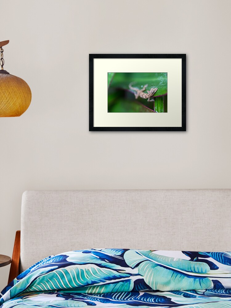 Gecko Spy Nature Geek Chic Framed Art Print By Oasisbyrebecca Redbubble