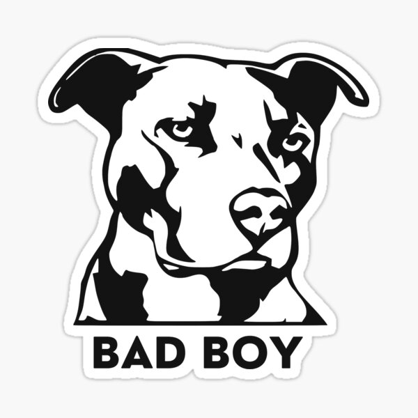 bad-boy-get-your-dog-fixed-funny-meme-sticker-for-sale-by