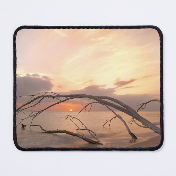Item preview, Framing in trees designed and sold by Gouzelka.