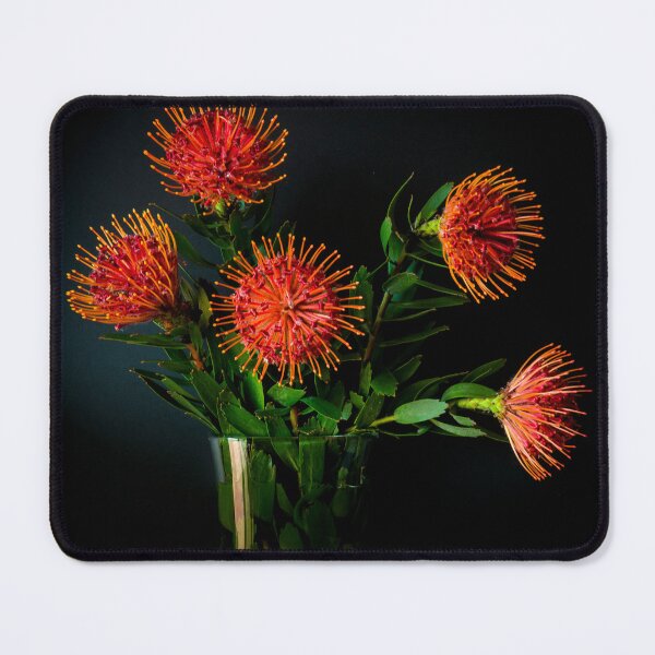 Item preview, Protea Leucospermum designed and sold by Liv Stockley.
