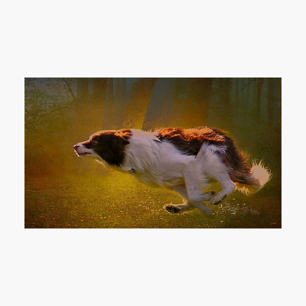 Item preview, Golden Run  designed and sold by dreamlikepix.
