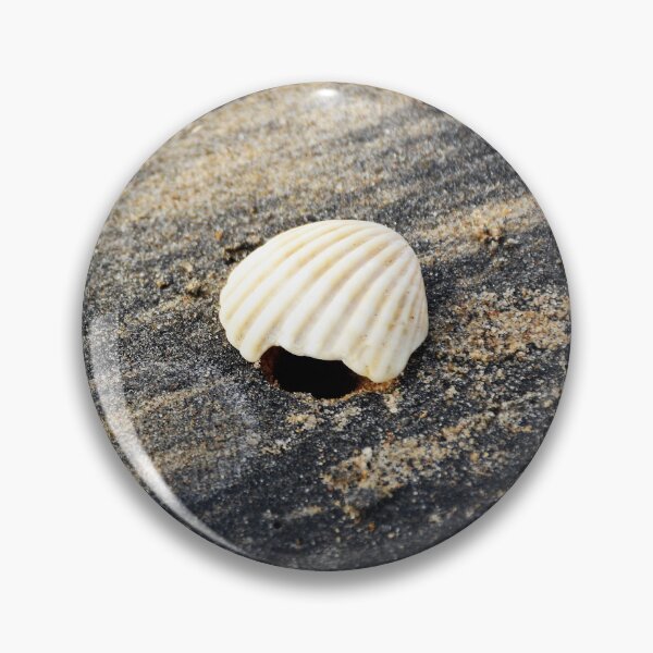 Item preview, White seashell on a black sandy beach designed and sold by mark-taylor.
