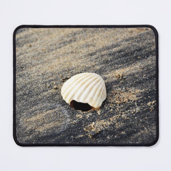 Item preview, White seashell on a black sandy beach designed and sold by mark-taylor.