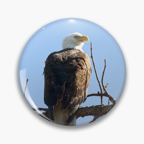 Item preview, Bald Eagle designed and sold by Gouzelka.