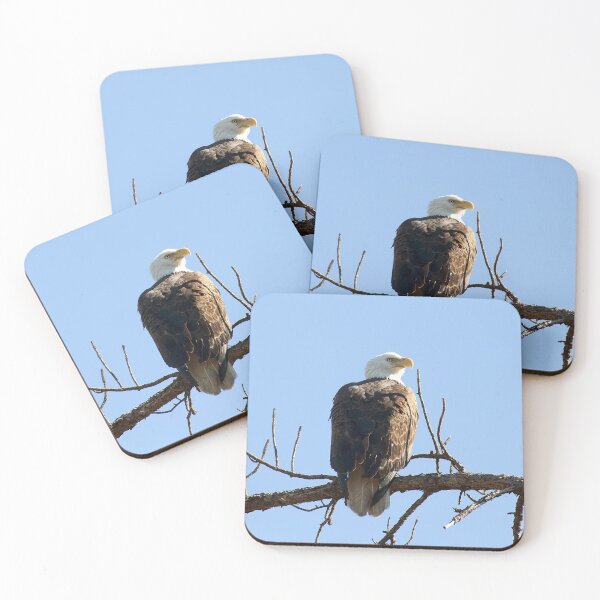 Item preview, Bald Eagle designed and sold by Gouzelka.