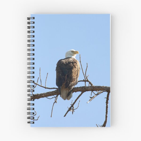 Item preview, Bald Eagle designed and sold by Gouzelka.