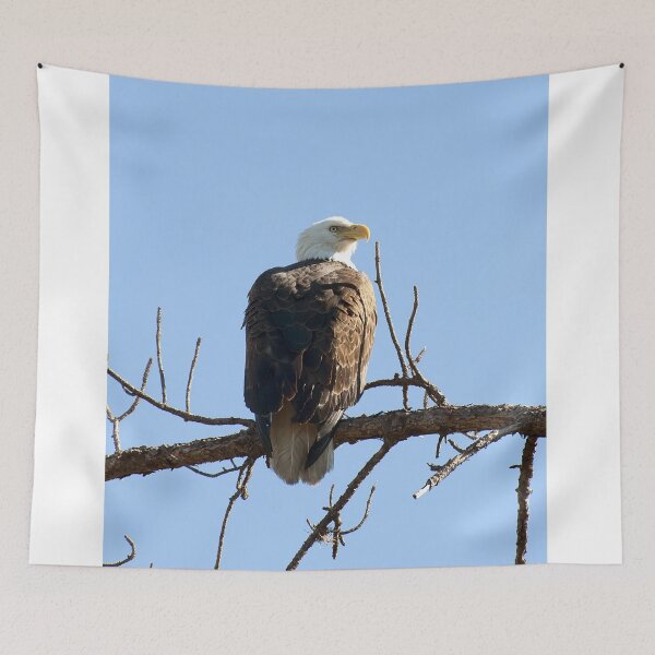 Item preview, Bald Eagle designed and sold by Gouzelka.