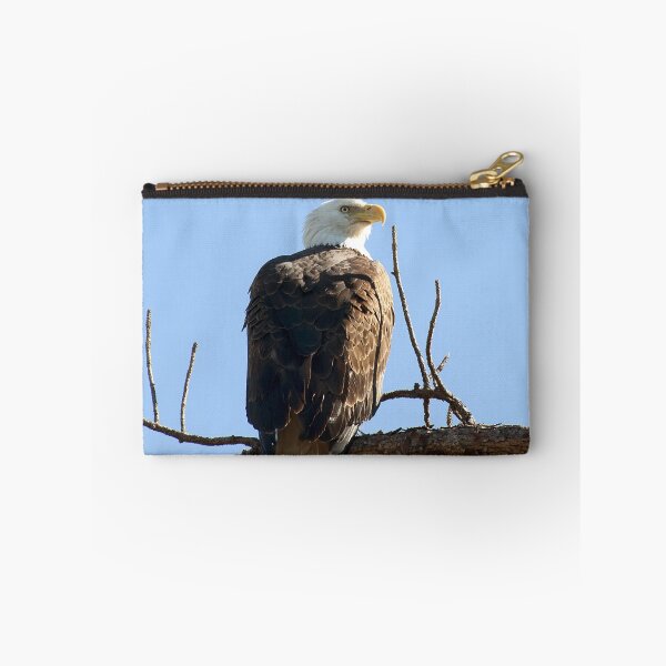 Item preview, Bald Eagle designed and sold by Gouzelka.