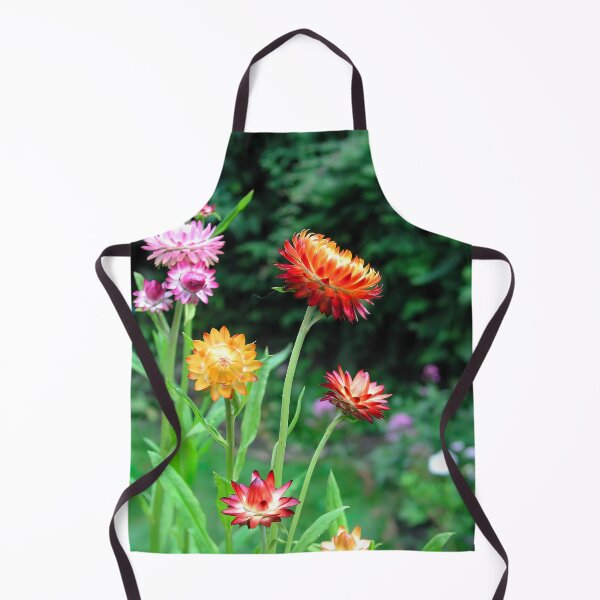Item preview, Helichrysum, Everlasting Flowers designed and sold by JonDelorme.