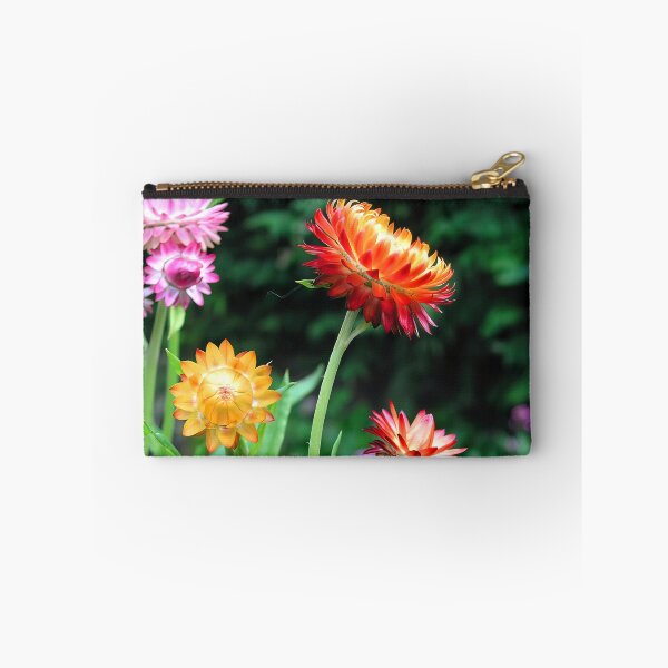 Item preview, Helichrysum, Everlasting Flowers designed and sold by JonDelorme.