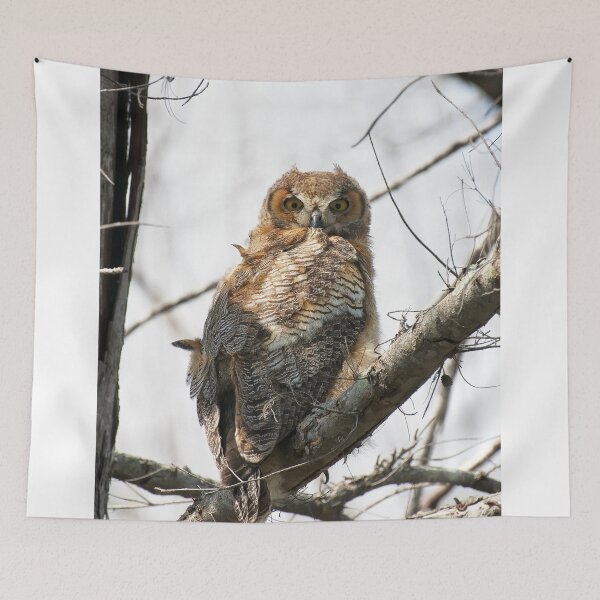 Item preview, Baby owl designed and sold by Gouzelka.