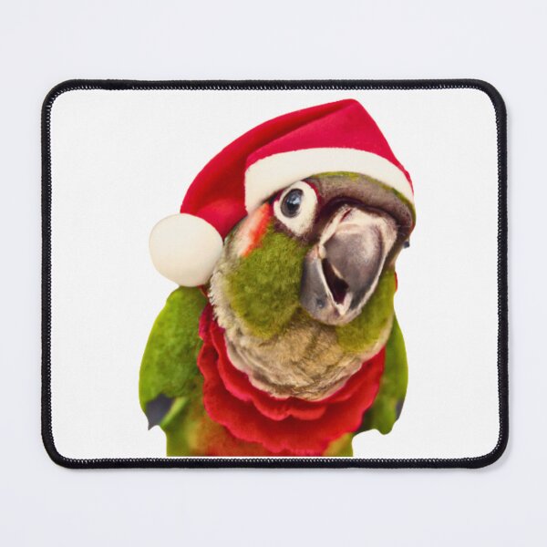 Item preview, Merry Christmas from Pet Bird | Green Cheek Conure Parrot | Parakeet | Pyrrhura designed and sold by TatianaLG.