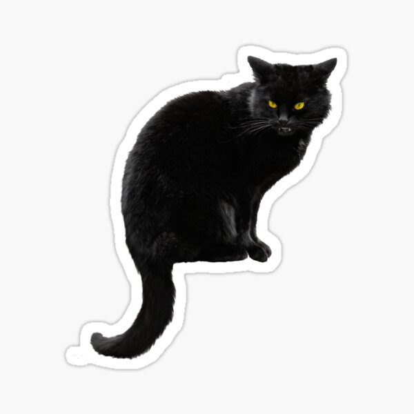 "Copy of cursed cat image , cat cursed images, cat :" Sticker for Sale ...