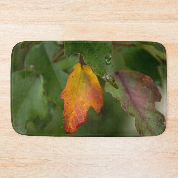 Item preview, First Signs of Fall designed and sold by TinyCameraNinja.