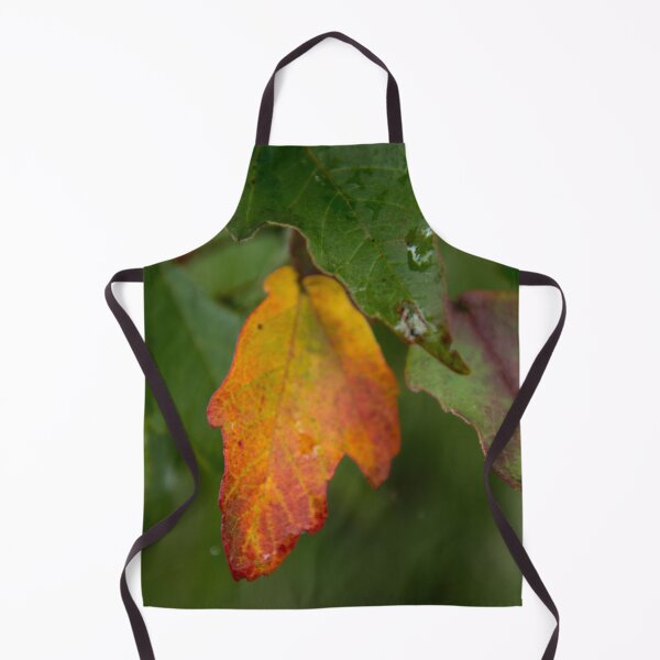 Item preview, First Signs of Fall designed and sold by TinyCameraNinja.