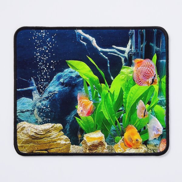 Item preview, Fish tank hobby designed and sold by GinaDesignUK.