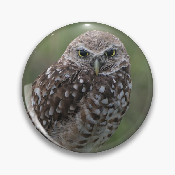 Item preview, Whooo's sleepy? designed and sold by TinyCameraNinja.