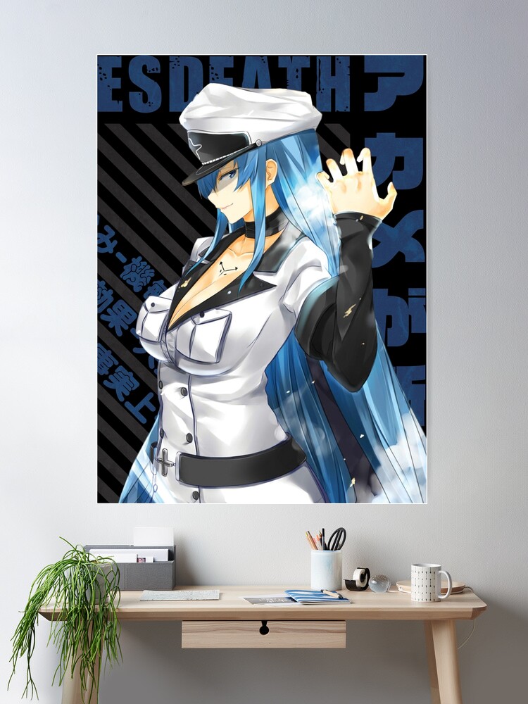 Akame ga Kill Esdeath Propaganda Poster