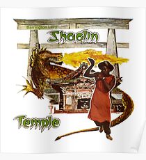 Shaolin tempel Poster