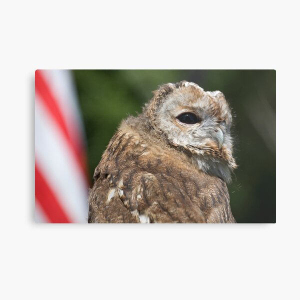 It's My America Too Metal Print