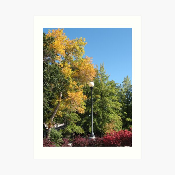 Fall in Reno Art Print