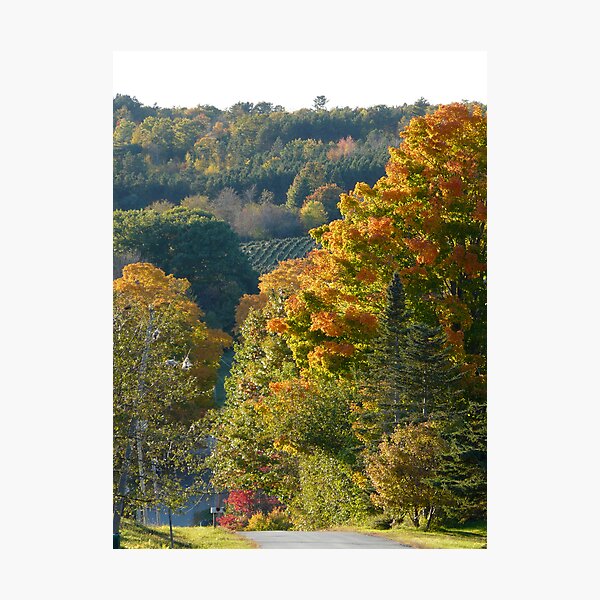 Item preview, Road to the Valley designed and sold by LifeInMaine.