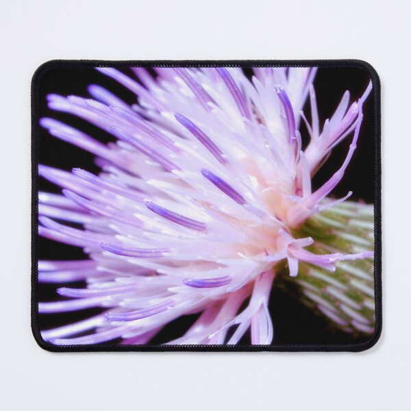 Item preview, Blooming Nuttall Thistle designed and sold by What I See by Dawne.