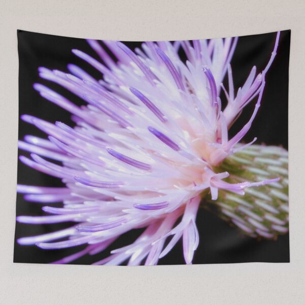 Item preview, Blooming Nuttall Thistle designed and sold by What I See by Dawne.